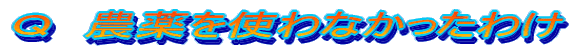 p@_gȂ킯