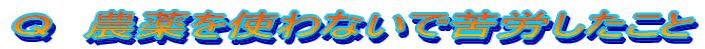 p@_gȂŋJ