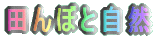 cڂƎR