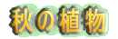 H̐A