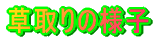 ̗lq