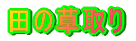c̑