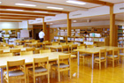 Library back