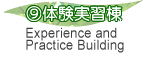 Experience and Practice Building