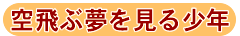 空飛ぶ夢を見る少年