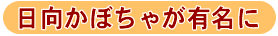 日向かぼちゃが有名に