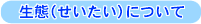 せいたいについて