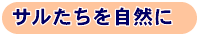 サルたちを自然に