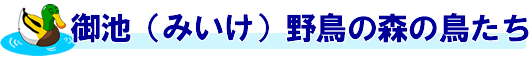 ݂쒹̐X̒