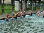 c-P1010116.jpg