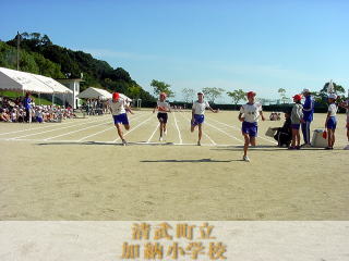 男子100m走の様子です。