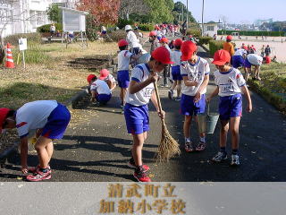 一生懸命落ち葉拾いをしています。
