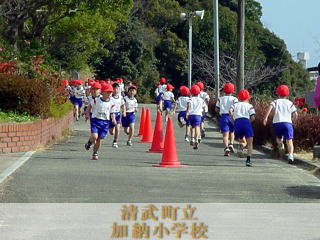 懸命に走る1年生の様子です。