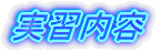 実習内容