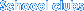 School clubs