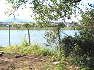 進学講座の西側にある池の写真