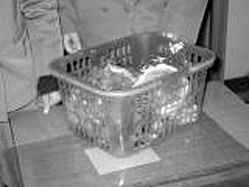 「パンの入った籠」の写真