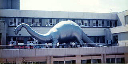 ��C���\���̋���u�����g�T�E���X�̎ʐ^