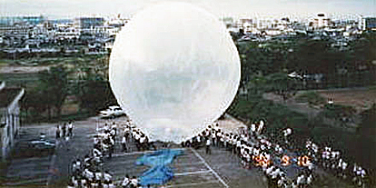 �M�C���̎ʐ^