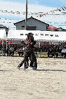 H23_taiikusai024.jpg