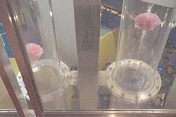 20121111_kougai_010.jpg