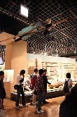 20121111_kougai_016.jpg