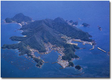 ����Y�S�i