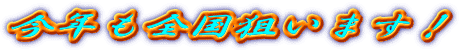 NS_܂I