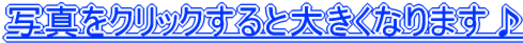 NbNƎʐ^傫Ȃ܂