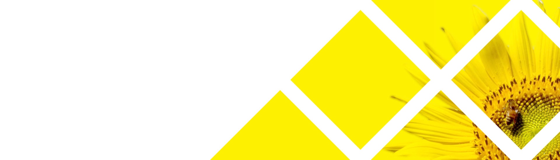 �������̉摜