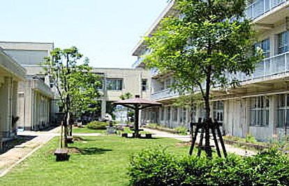 �w�Z�̒���̉摜