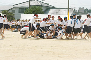 �Q�E�R�N���q�c�Z�̎ʐ^01