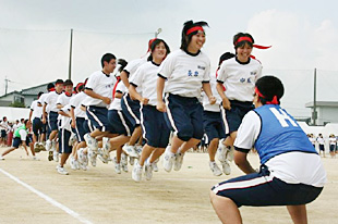 �P�N�j�q�c�Z�̎ʐ^01