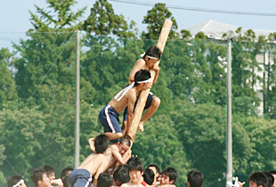 �Q�E�R�N�j�q�c�Z�̎ʐ^02