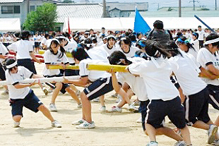 �R�N���q�c�Z�̎ʐ^05