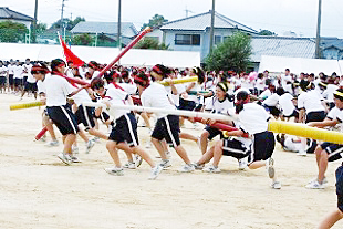 �R�N���q�c�Z�̎ʐ^03