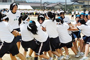 �R�N���q�c�Z�̎ʐ^01