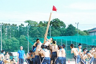 �R�N�j�q�c�Z�̎ʐ^06