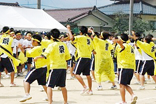 �e�c�̉����̎ʐ^01