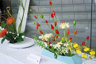 �u�ؓ��� �W���v�ʐ^02