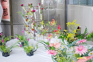 �u�ؓ��� �W���v�ʐ^01