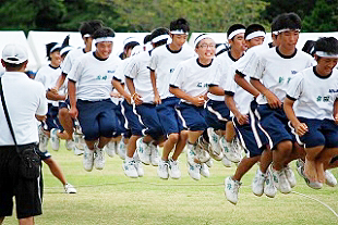 �P�N�j�q�c�Z�̎ʐ^01