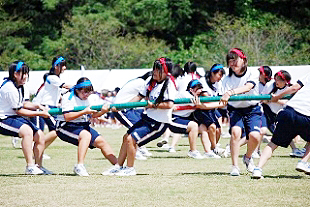 �R�N���q�c�Z�̎ʐ^02