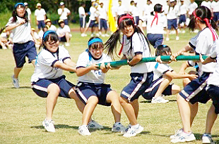 �R�N���q�c�Z�̎ʐ^04