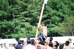 �R�N�j�q�c�Z�̎ʐ^01