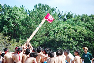 �R�N�j�q�c�Z�̎ʐ^03