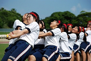 �Q�N���q�c�Z�̎ʐ^01