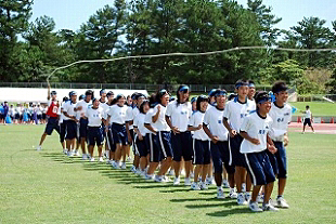 �P�N�c�Z�̎ʐ^01