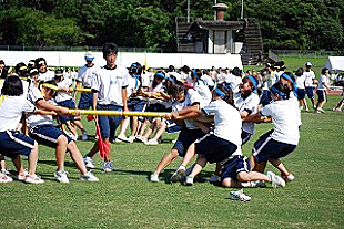 �R�N���q�c�Z�̎ʐ^01