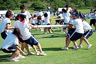 �R�N���q�c�Z�̎ʐ^03